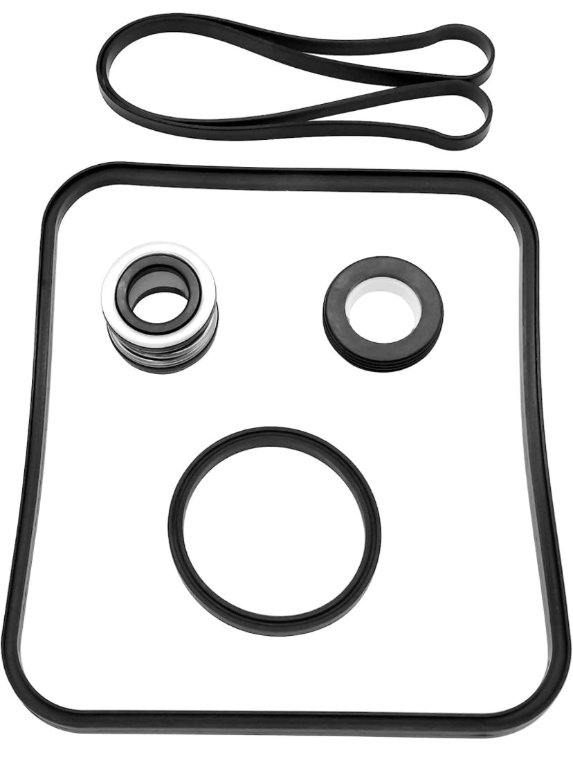Kit de Juntas para el motor y la bomba Hayward