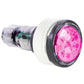 Luz Pentair Microbrite 100 pies de cable